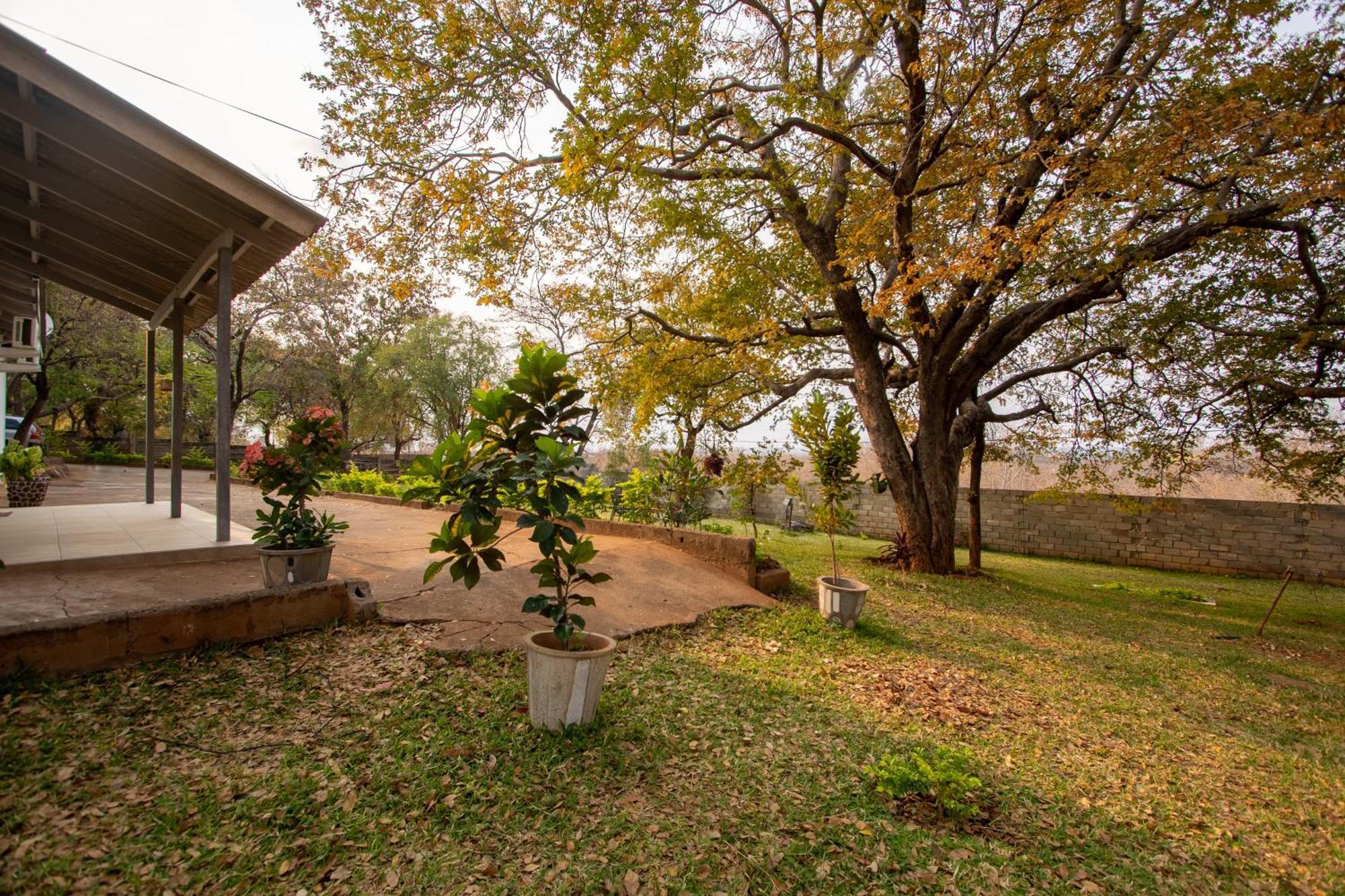 מפלי ויקטוריה Wood Road Guest Lodge מראה חיצוני תמונה