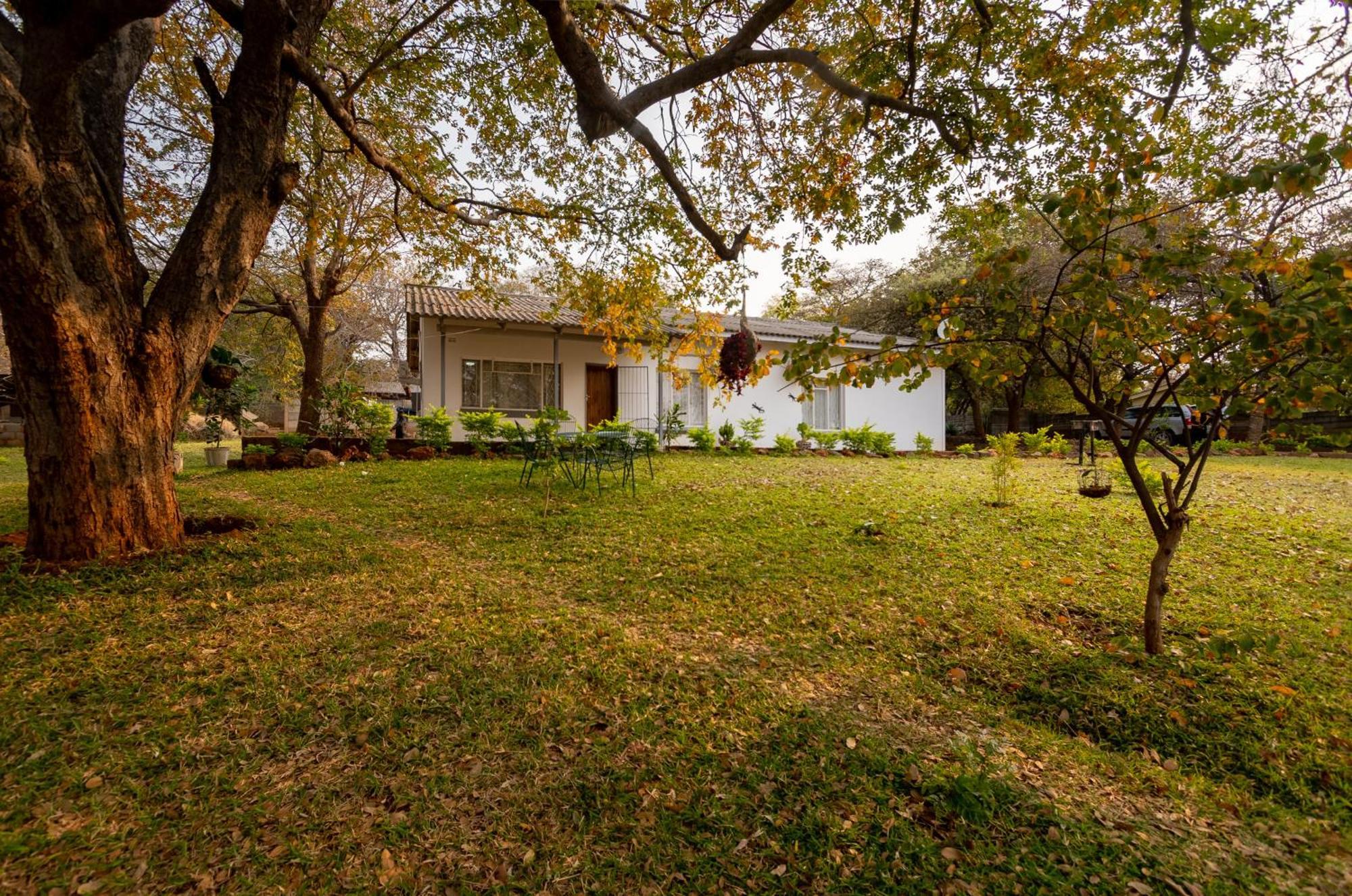 מפלי ויקטוריה Wood Road Guest Lodge מראה חיצוני תמונה